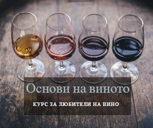 Wine Women Show